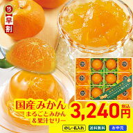 お中元 早割 御中元 夏ギフト 2026 送料無料 国産みかん使用 まるごとみかん＆果汁ゼリー 「MM-30V」 115…
