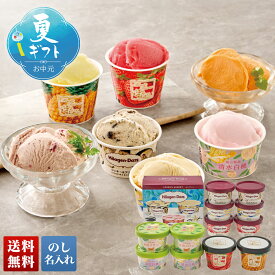 お中元 御中元 夏ギフト ギフト プレゼント 2026 送料無料 「ハーゲンダッツ」＆アイスアソートギフト 「HES-DS2」 フルーツソルベ 国産フルーツアイス 夏ギフト 暑中見舞い 贈り物 スイーツ 冷凍