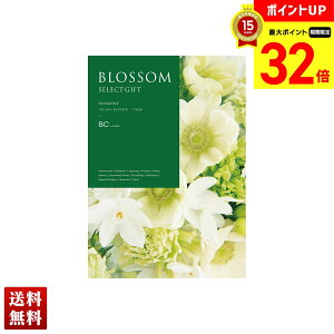 yBLACK FRIDAYő32{z ubT All J^OMtg 670_/292y[W l Zbg 蕨  Mtg v[g uBCv