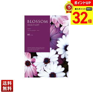 yBLACK FRIDAYő32{z ubT fCW[ J^OMtg 800_/332y[W l Zbg 蕨  Mtg v[g uBEv