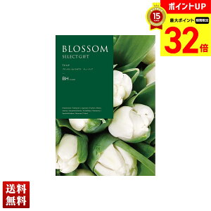 yBLACK FRIDAYő32{z ubT `[bv J^OMtg 725_/316y[W l Zbg 蕨  Mtg v[g uBHv