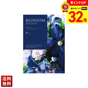 yBLACK FRIDAYő32{z ubT N}`X J^OMtg 490_/236y[W l Zbg 蕨  Mtg v[g uBIv