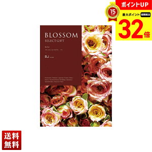 yBLACK FRIDAYő32{z ubT o J^OMtg 420_/220y[W l Zbg 蕨  Mtg v[g uBJv