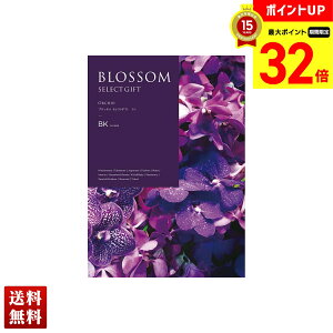 yBLACK FRIDAYő32{z ubT  J^OMtg 295_/228y[W l Zbg 蕨  Mtg v[g uBKv