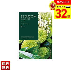 yBLACK FRIDAYő32{z ubT _A J^OMtg 270_/212y[W l Zbg 蕨  Mtg v[g uBLv