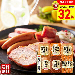 y}\ő32{z {n {ihቤMtg n nMtg [Xn ~[g[t ē l Zbg 蕨  Mtg v[g uHGT-805v