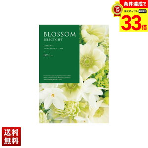 yyVX[p[Z[ő33{z ubT All J^OMtg 670_/292y[W l Zbg 蕨  Mtg v[g uBCv