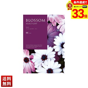 yyVX[p[Z[ő33{z ubT fCW[ J^OMtg 800_/332y[W l Zbg 蕨  Mtg v[g uBEv