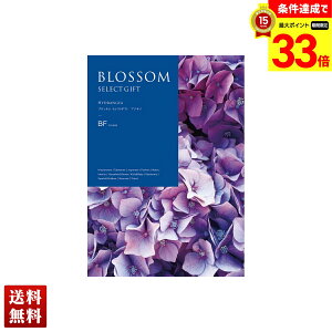 yyVX[p[Z[ő33{z ubT AWTC J^OMtg 845_/332y[W l Zbg 蕨  Mtg v[g uBFv