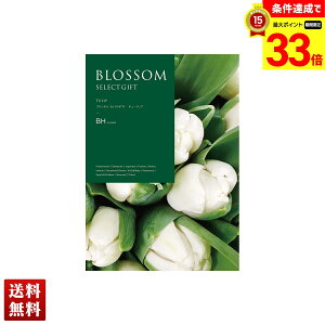 yyVX[p[Z[ő33{z ubT `[bv J^OMtg 725_/316y[W l Zbg 蕨  Mtg v[g uBHv