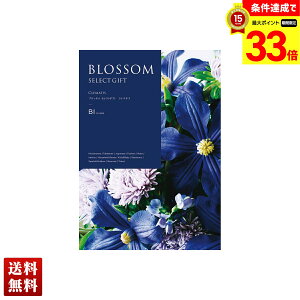 yyVX[p[Z[ő33{z ubT N}`X J^OMtg 490_/236y[W l Zbg 蕨  Mtg v[g uBIv