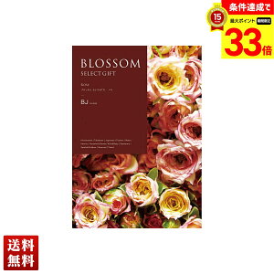 yyVX[p[Z[ő33{z ubT o J^OMtg 420_/220y[W l Zbg 蕨  Mtg v[g uBJv