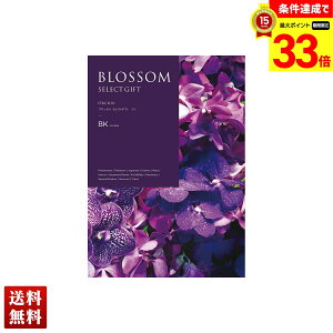 yyVX[p[Z[ő33{z ubT  J^OMtg 295_/228y[W l Zbg 蕨  Mtg v[g uBKv