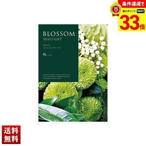 yyVX[p[Z[ő33{z ubT _A J^OMtg 270_/212y[W l Zbg 蕨  Mtg v[g uBLv