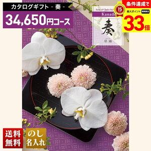 yyVX[p[Z[ő33{z  J^OMtg t R[XuKNLvb蕨  Ԃ   j j j j j  䌋 j oY oY o