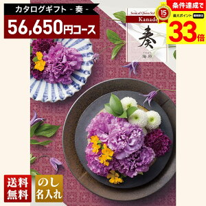 yyVX[p[Z[ő33{z  J^OMtg t CR[XuKNMvb蕨  Ԃ   j j j j j  䌋 j oY oY o