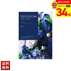 y}\ő|Cg34{z ubT N}`X J^OMtg 490_/236y[W l Zbg 蕨  Mtg v[g uBIv