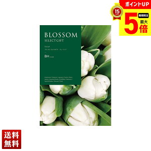 yő|Cg5{z ubT `[bv J^OMtg 725_/316y[W l Zbg 蕨  Mtg v[g uBHv