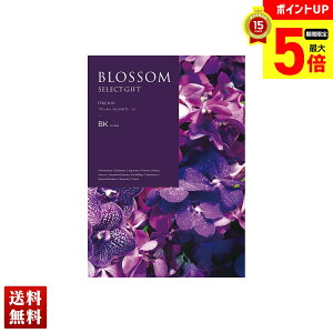 【最大ポイント5倍】 ブロッサム ラン カタログギフト 約295点/228ページ 詰合せ セット 贈り物 送料無料 ギフト プレゼント 「BK」