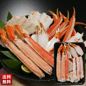 {C킢In[t|[V ނg400g Jj I O l 蕨  Mtg v[g uB1-1v