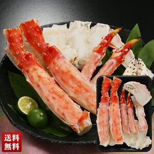 {CΊIn[t|[V ނg 500g Jj I l O 蕨  Mtg v[g uB1-2v