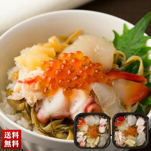 CNOЁi퐷j 100g l Zbg CN O O 蕨 ̍  Mtg v[g uB1-3v