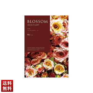 ubT o J^OMtg 420_/220y[W l Zbg 蕨  Mtg v[g uBJv