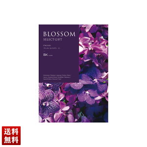 ubT  J^OMtg 295_/228y[W l Zbg 蕨  Mtg v[g uBKv