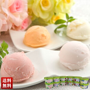 ʎ̕ւ Yt[cACX n於Yt[c ACX ACXN[ l Zbg 蕨  Mtg v[g uEG-A12v