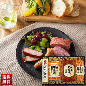 {n {ihቤMtg n ē l nMtg Zbg 蕨  Mtg v[g uFS-300v