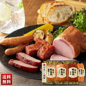 {n {ihቤMtg n nMtg [Xn ~[g[t ē l Zbg 蕨  Mtg v[g uFS-500v