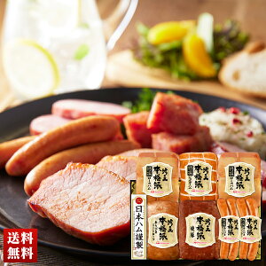 {n {ihቤMtg n nMtg [Xn ~[g[t ē l Zbg 蕨  Mtg v[g uHGT-805v