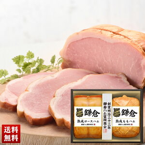 uqnxvIzCg[XnEI n n nMtg [Xn l Zbg 蕨  Mtg v[g uKA-51Av
