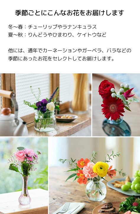 楽天市場 送料無料 ブルーミーのお花 スターバックスドリップ Bl Sbd 花 季節のお花 お花 ブルーミー Bloomee スターバックス スタバ オリガミ ドリップ コーヒー 珈琲 飲料 贈り物 ギフト 女性 男性 プレゼント 可愛い Noel Deco