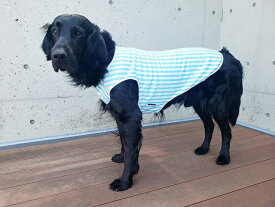 大型犬向けクールウェア！夏でも涼しい犬用冷感素材の服のおすすめは？