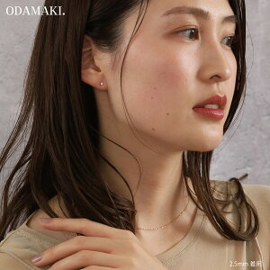 _C fB[X sAX fB[X  傫 Y AM[  GKg AM[ sAX Lb` Vv dp v[g