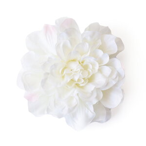  ANZT[ wAANZT[  񂴂    l ܎O OB Ǝ a ԉ wAs  RT[W