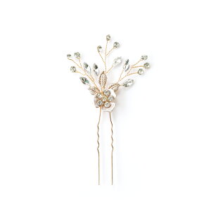  ANZT[ wAs 3_Zbg  񂴂   l  ANZT[ Ǝ wAANZT[   a ԉ wAs Us   ig hX