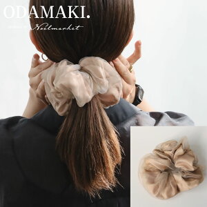 VV 傫 VA[  wAS     Vv wAANZ wAANZT[  ItBX   ̓ a v[g Mtg