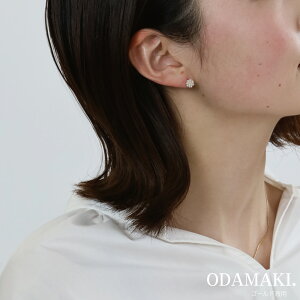 sAX AM[ p[ ςȂ 18k Vv AM[Ή d lC i p fB[X ANZT[  w  Ǝ  a v[g