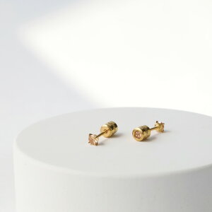 yAM[ΉzsAX t[vsAX ςȂ T[WJXeX 316L jbPt[ Ԃ ~jsAX Vv i  fB[X l 30 40 v[g