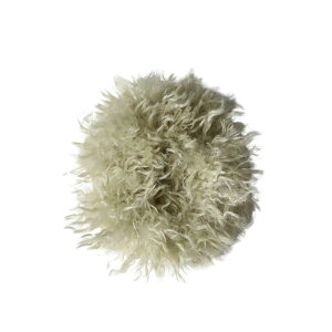 VV ӂӂ v[hVV l   wAS l  wAANZ wAANZT[  fC[ JWA ItBX   ̓ a v[g M