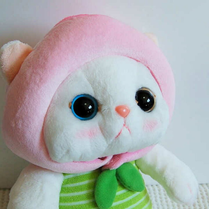 楽天市場 Choo Choo本舗 猫のぬいぐるみ ピーチちゃん Mサイズ ネコ キャット Cat ぬいぐるみ フルーツ 桃 もも ピーチ 着ぐるみ フワフワ ふわふわ かわいい キュート 大人女子 オッドアイ 白 韓国 Jetoy ジェトイ 売れ筋 母の日 ｎｏｅｌ２５