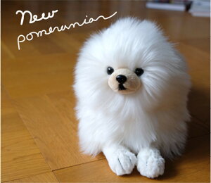 T Ђ |jA N[ yXXXz  Dog | JCC 킢 L[g ӂӂ tt v[g Mtg lC Ђ  {݂ 