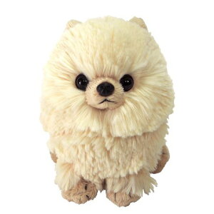 sunlemon pvX ʂS |jABE T | 킢  JCC L[g ӂӂ tt v[g Mtg pups lq q  R  Dog Aj} n