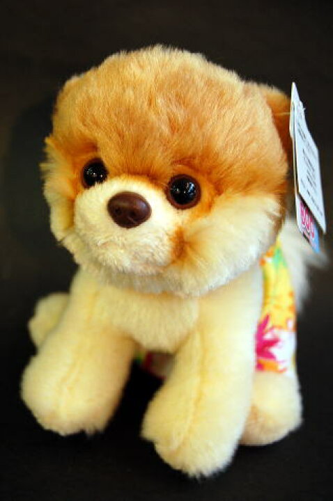 楽天市場 ポメラニアンのbooは世界で一番可愛い犬 Gund Boo スイミング ウェア ｎｏｅｌ２５