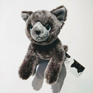 Ђ˂ VAu[S yXXXzT sunlemon 킢 L[g _炩 tt G lR ˂ L Cat O[ n v[g Mtg ̓ V