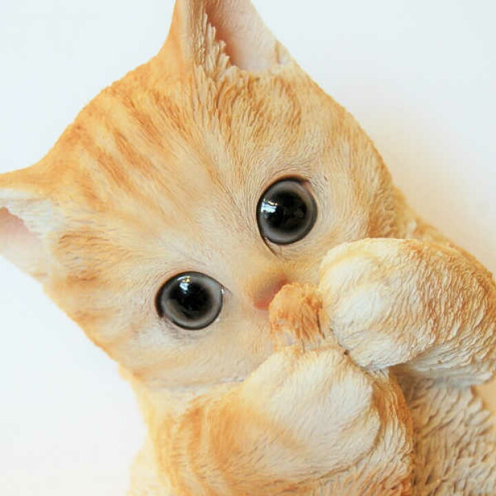 楽天市場 べニーズキャット ハムハム 茶トラ ネコ Cat 猫 カワイイ かわいい キュート しっぽ 仔猫 オブジェ 置物 癒し系 リアル アニマル クリクリ 園芸 ガーデニング 母の日 ｎｏｅｌ２５