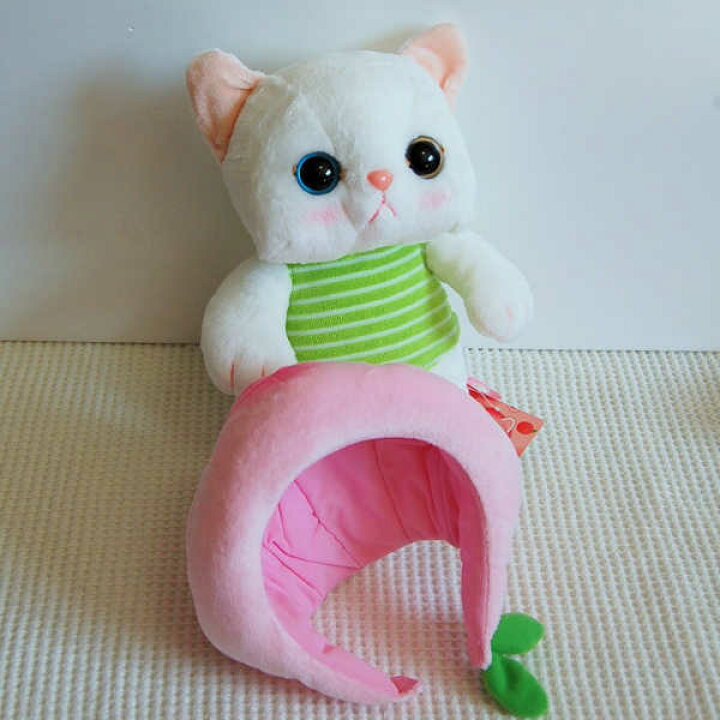 楽天市場 Choo Choo本舗 猫のぬいぐるみ ピーチちゃん Mサイズ ネコ キャット Cat ぬいぐるみ フルーツ 桃 もも ピーチ 着ぐるみ フワフワ ふわふわ かわいい キュート 大人女子 オッドアイ 白 韓国 Jetoy ジェトイ 売れ筋 母の日 ｎｏｅｌ２５