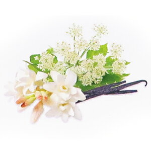 y  zvxWFIC y MBAWF[Nm[ z100mlyA1531zlampberger ]xWF maison berger tOXIC A} A}IC A}v A}|bg  